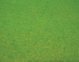 Dolls House Miniature Textured Light Green Grass Lawn Accessory 60cm x 60cm L14 