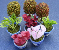 Pot Tumdee Dolls House Flower Garden P12 1:12 Scale Light & Dark Green Plant 